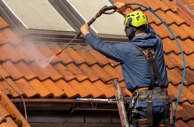 Démoussage et hydrofuge de toiture à Ortale